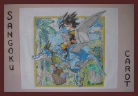 /album/galerie-de-photos-divers/sangoku-jpg/
