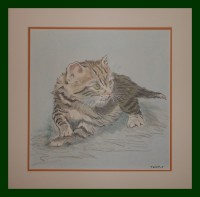 /album/galerie-de-photos-animaux/chat-jpg/