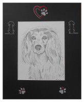 /album/galerie-de-photos-animaux/uhette1-jpg/