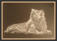 /album/galerie-de-photos-animaux/lion-jpg/