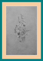 /album/galerie-de-photos-divers/note1-jpg/